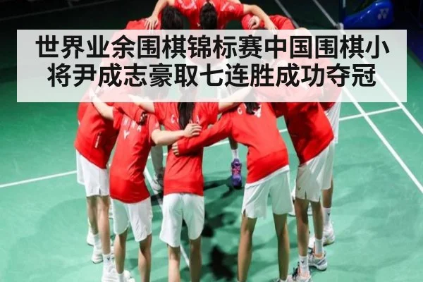 世界业余围棋锦标赛中国围棋小将尹成志豪取七连胜成功夺冠